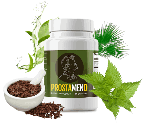 InsuFend-pills  - image